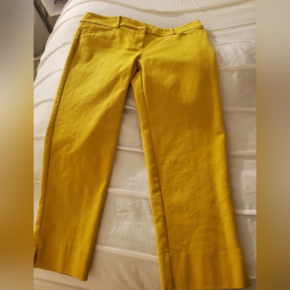 Ann Taylor Loft Marissa Pant